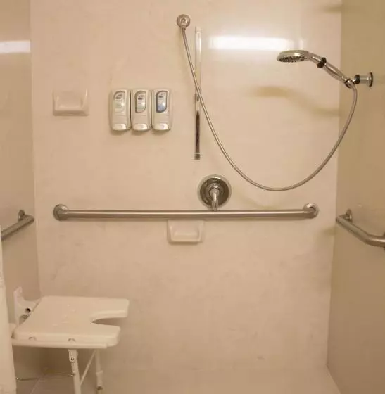 اتاق استاندارد برای معلولان, Best Western Plus San Antonio East Inn & Suites