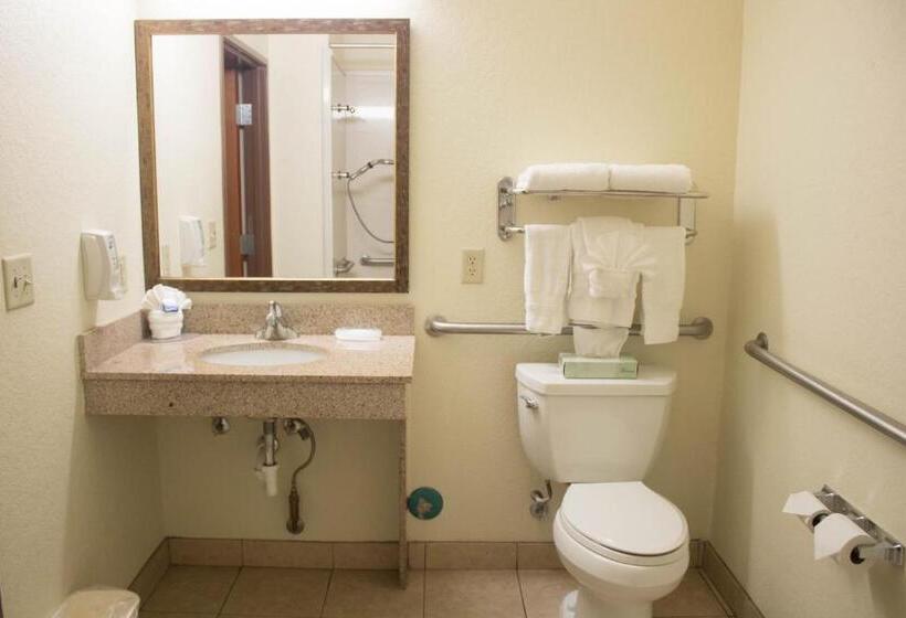 Chambre Standard Adaptée aux Personnes à Mobilité Réduite, Best Western Plus San Antonio East Inn & Suites