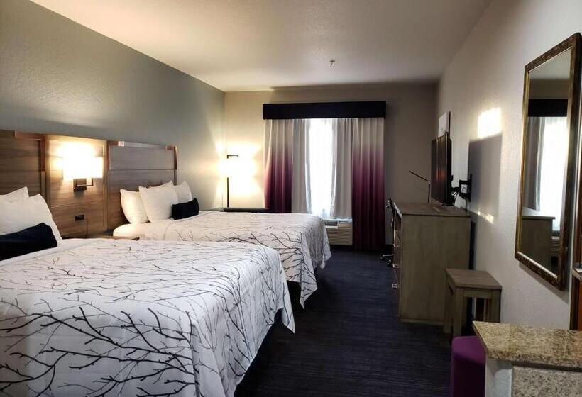 اتاق استاندارد برای معلولان, Best Western Plus San Antonio East Inn & Suites