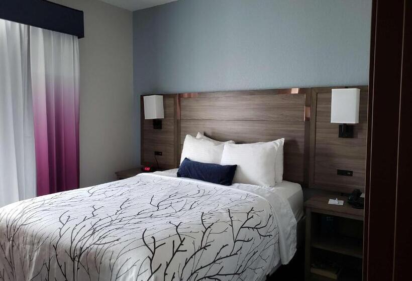 Suite Adaptée aux Personnes à Mobilité Réduite, Best Western Plus San Antonio East Inn & Suites