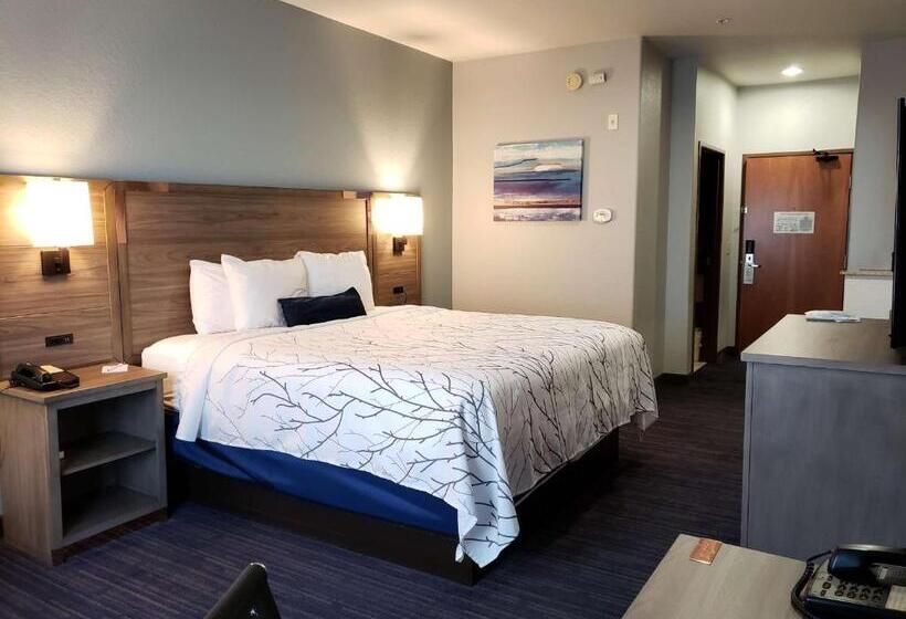 Chambre Standard Lit King Size Adaptée aux Personnes à Mobilité Réduite, Best Western Plus San Antonio East Inn & Suites