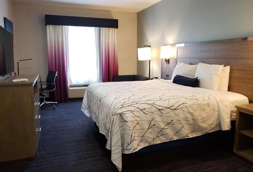 اتاق استاندارد با تخت بزرگ برای معلولان, Best Western Plus San Antonio East Inn & Suites