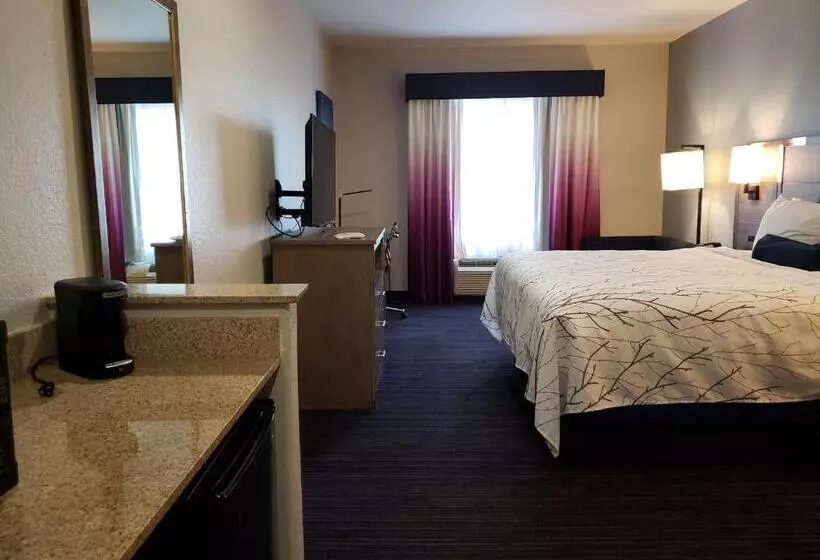 اتاق استاندارد با تخت بزرگ برای معلولان, Best Western Plus San Antonio East Inn & Suites
