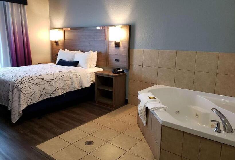 Chambre Standard Adaptée aux Personnes à Mobilité Réduite, Best Western Plus San Antonio East Inn & Suites