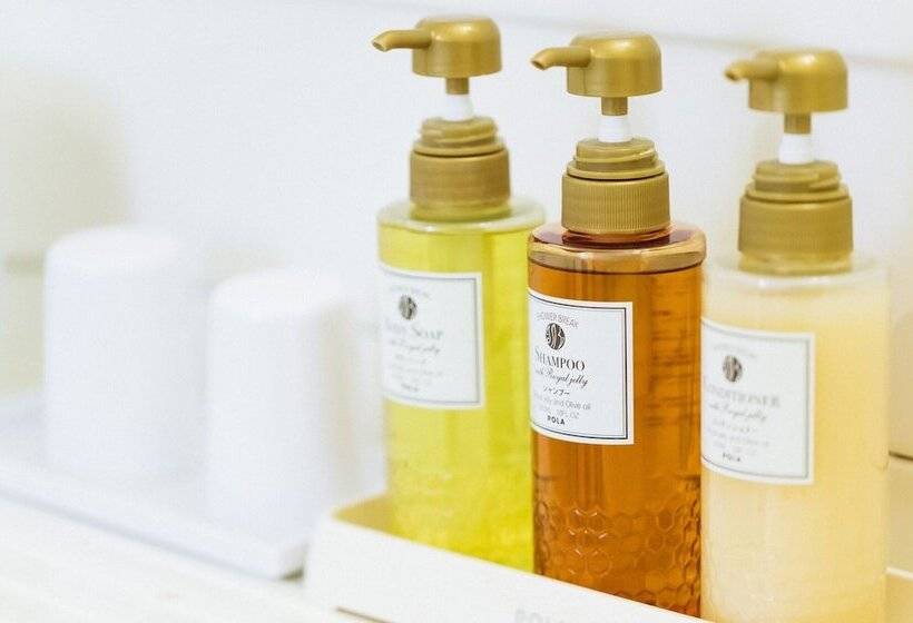 エコノミーシングルルーム, Cityroute