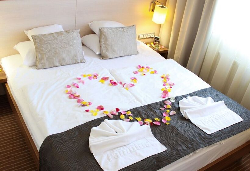 Номер Стандарт, Famulus