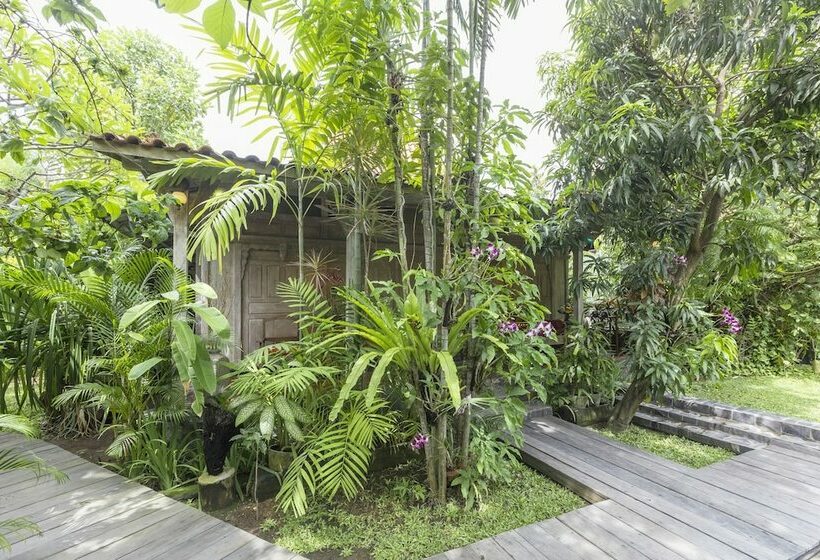 וילה בת חדר שינה 1, Kampung Kecil