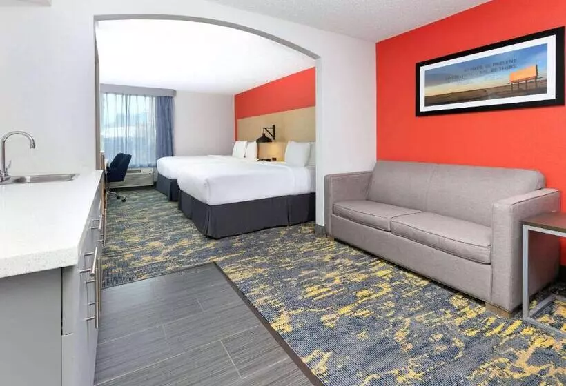 اتاق استاندارد, La Quinta By Wyndham Dallas   Las Colinas
