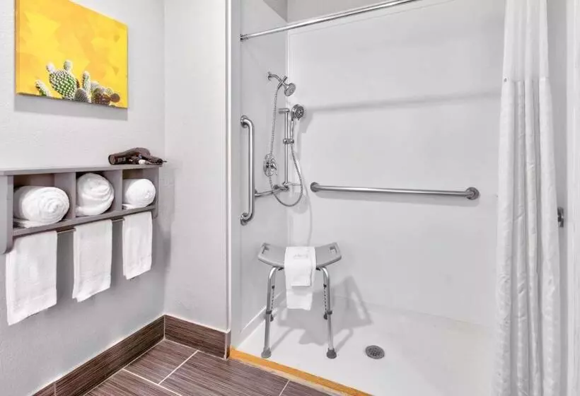 اتاق استاندارد با تخت بزرگ برای معلولان, La Quinta By Wyndham Dallas   Las Colinas