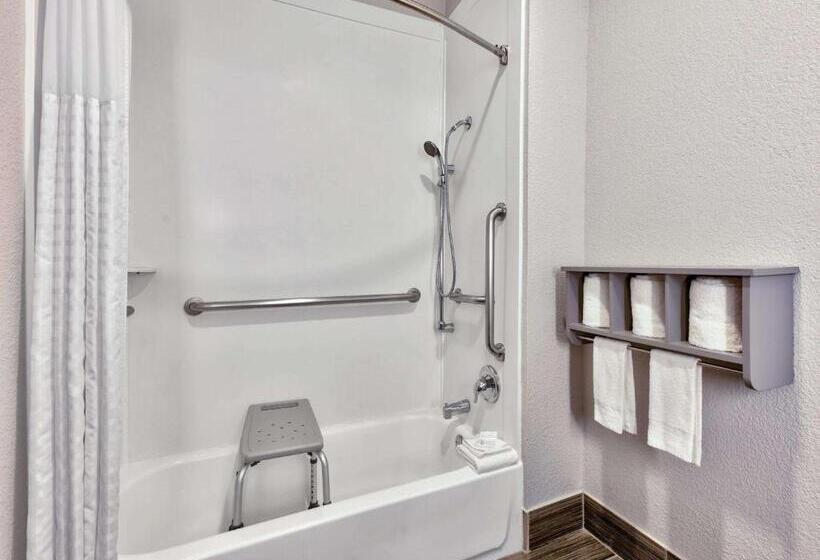 اتاق استاندارد با تخت بزرگ برای معلولان, La Quinta By Wyndham Dallas   Las Colinas