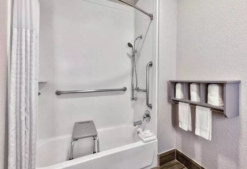 اتاق استاندارد برای معلولان, La Quinta By Wyndham Dallas   Las Colinas