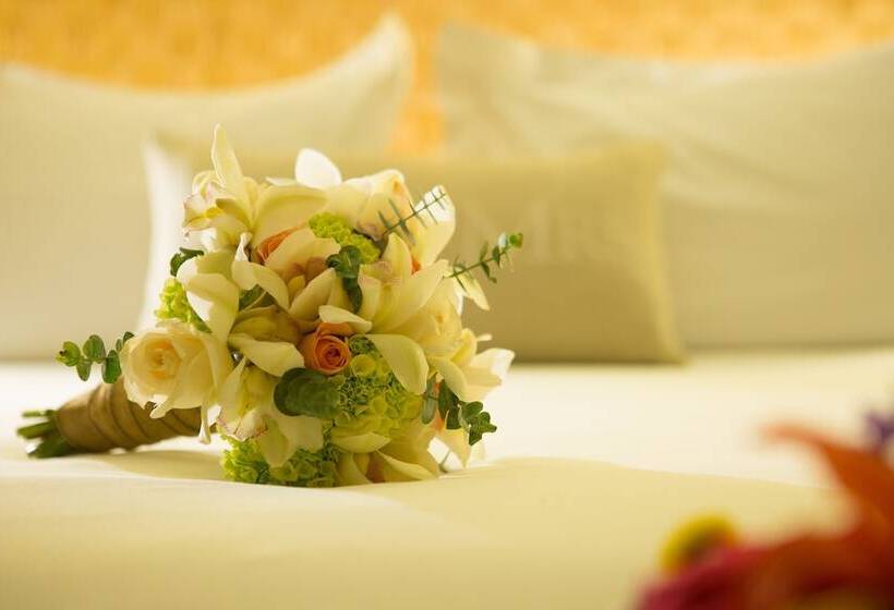 חדר פרמיום, Movich Hotel Cartagena De Indias