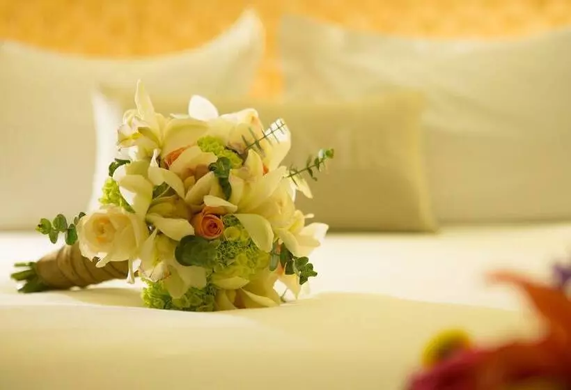 プレミアムルーム, Movich Hotel Cartagena De Indias