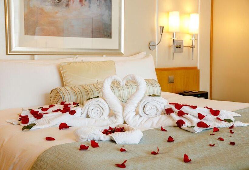 小型套房, Ritz Carlton Difc Downtown Dubai