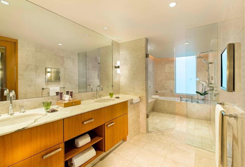 俱乐部套间, Ritz Carlton Difc Downtown Dubai