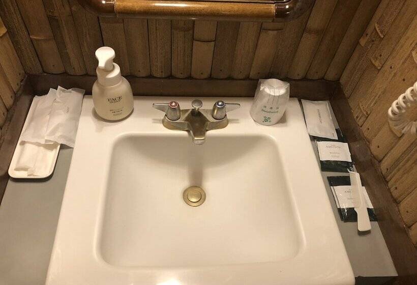 غرفة سوبيريور, Edoya