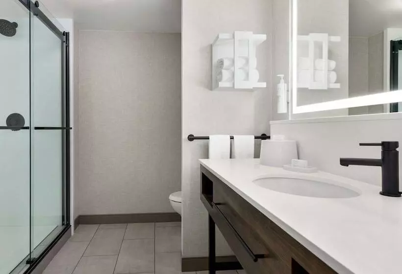 استودیوی استاندارد با تخت دوبل, Hampton Inn & Suites Greenville Downtown Riverplace
