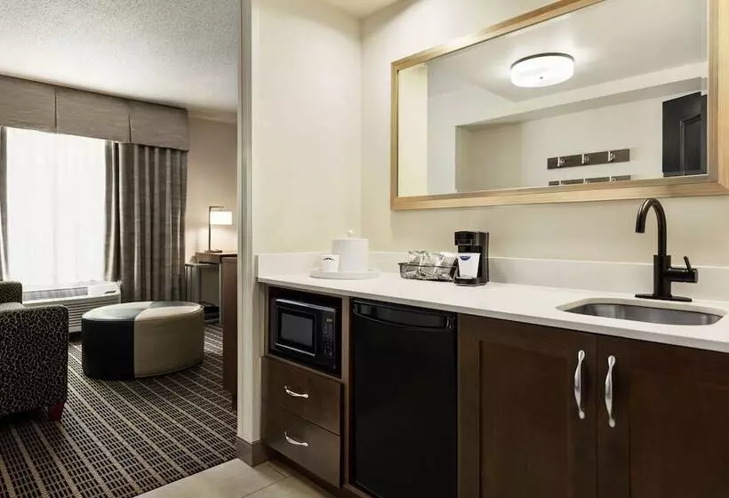 استودیوی استاندارد با تخت دوبل, Hampton Inn & Suites Greenville Downtown Riverplace