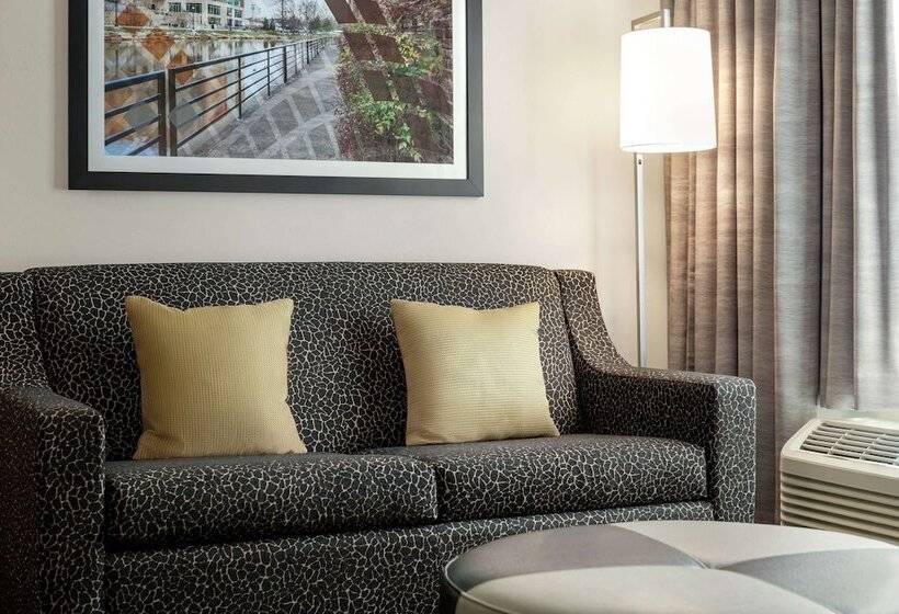ダブルベッドのスタンダードスタジオ, Hampton Inn & Suites Greenville Downtown Riverplace