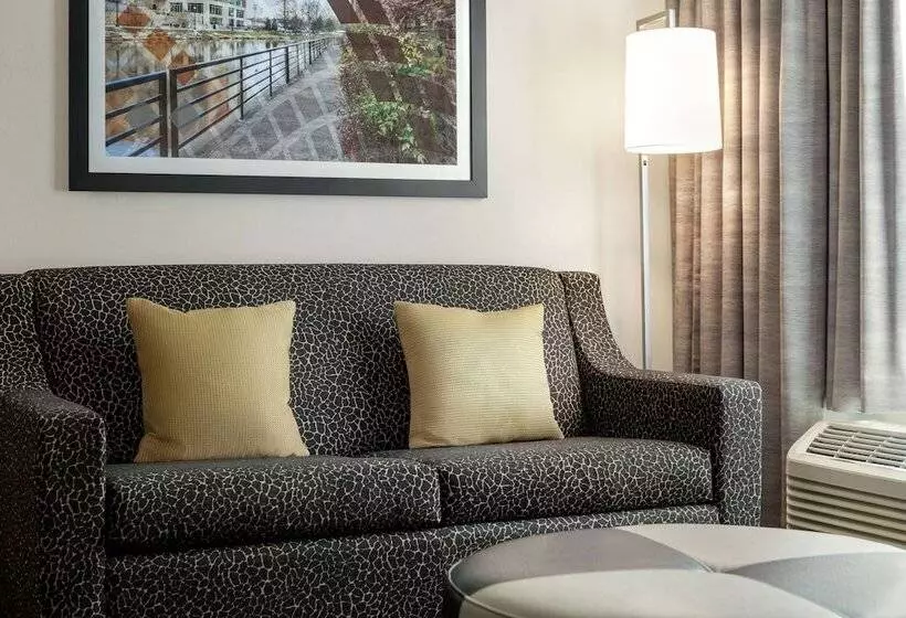 استودیوی استاندارد با تخت دوبل, Hampton Inn & Suites Greenville Downtown Riverplace