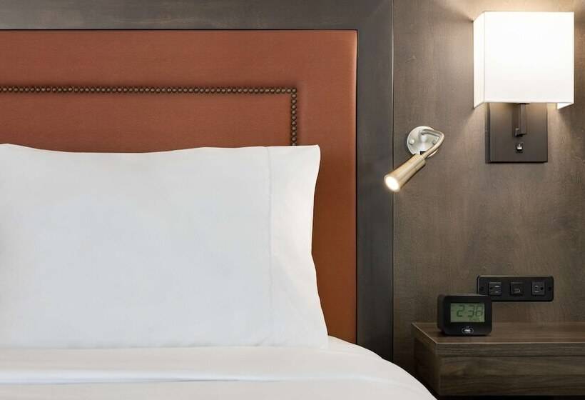 ダブルベッドのスタンダードスタジオ, Hampton Inn & Suites Greenville Downtown Riverplace