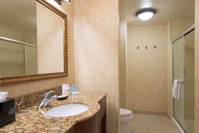 身障者適用スタンダードルーム, Hampton Inn And Suites Indianapolis Fishers