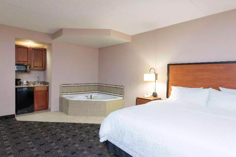 キングサイズベッドのスタンダードルーム, Hampton Inn And Suites Indianapolis Fishers