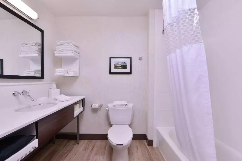 キングサイズベッドのスイートルーム, Hampton Inn & Suites Woodland Sacramento Area