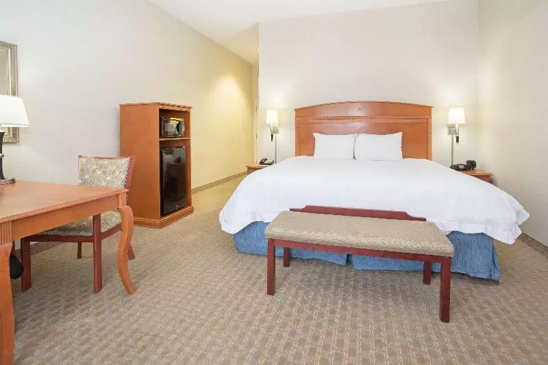 キングサイズベッドのスタンダードルーム, Hampton Inn Santa Rosa