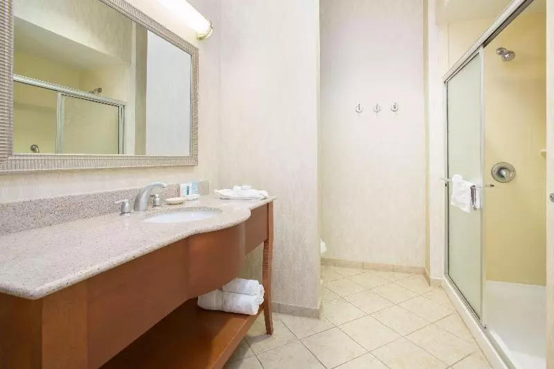キングサイズベッドのスタンダードルーム, Hampton Inn Santa Rosa