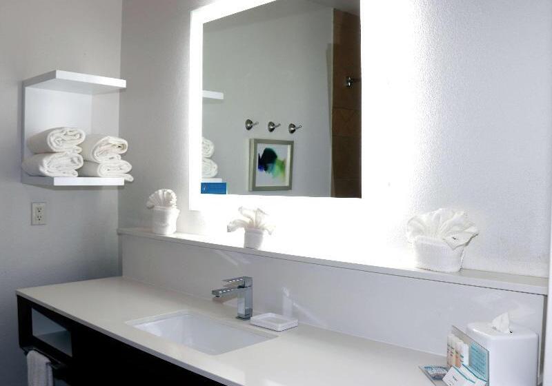 带大床的豪华间, Hampton Inn & Suites Stephenville