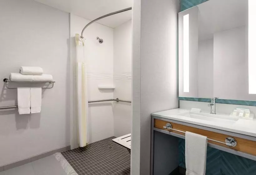 身障者適用スタンダードルーム, Hilton Garden Inn Bridgewater