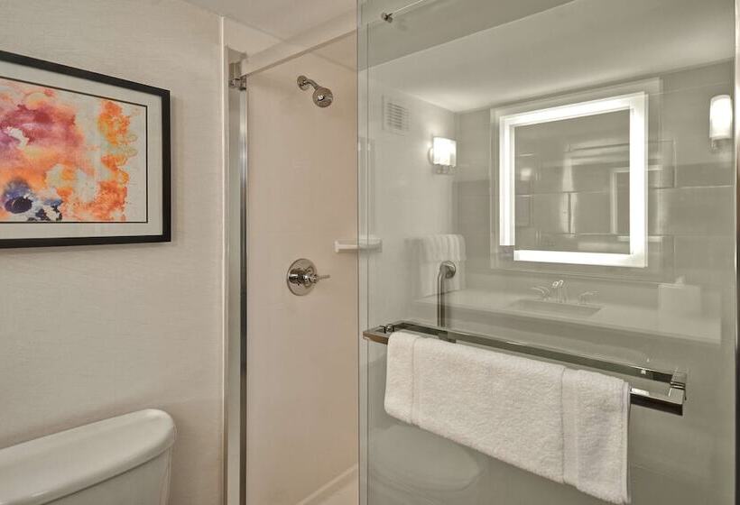 标准间, Hilton Garden Inn Detroit Metro Airport