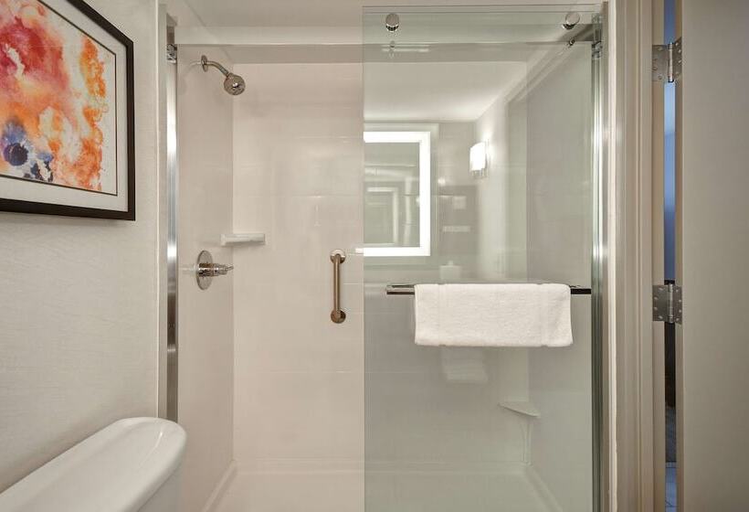 标准间, Hilton Garden Inn Detroit Metro Airport