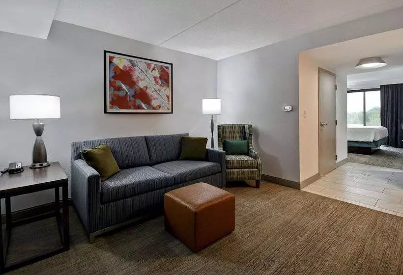 スタンダードルーム, Hilton Garden Inn Detroit Metro Airport