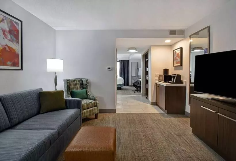 スタンダードルーム, Hilton Garden Inn Detroit Metro Airport
