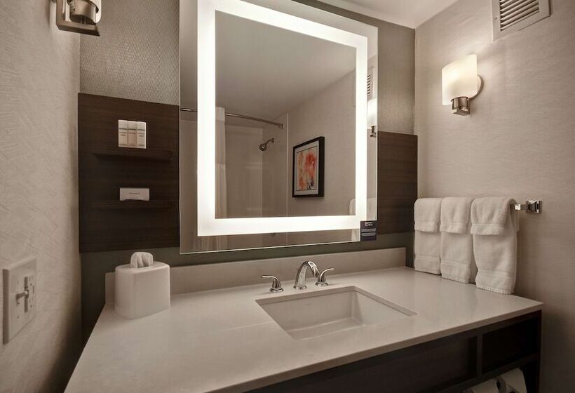 标准间, Hilton Garden Inn Detroit Metro Airport