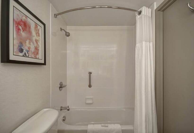 标准间, Hilton Garden Inn Detroit Metro Airport