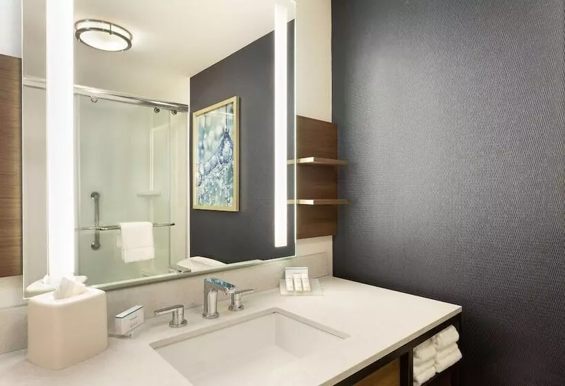 デラックスルーム, Hilton Garden Inn Melville