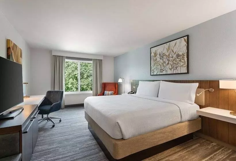 デラックスルーム, Hilton Garden Inn Melville
