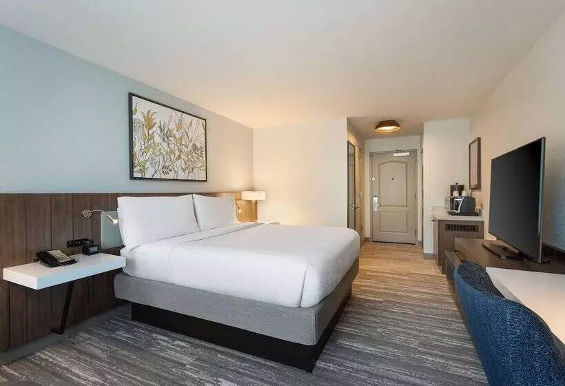 デラックスルーム, Hilton Garden Inn Melville