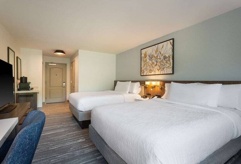 غرفة ديلوكس, Hilton Garden Inn Melville