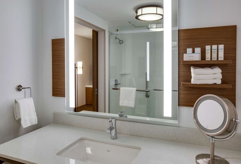 סוויטה, Hilton Garden Inn Oklahoma City Airport