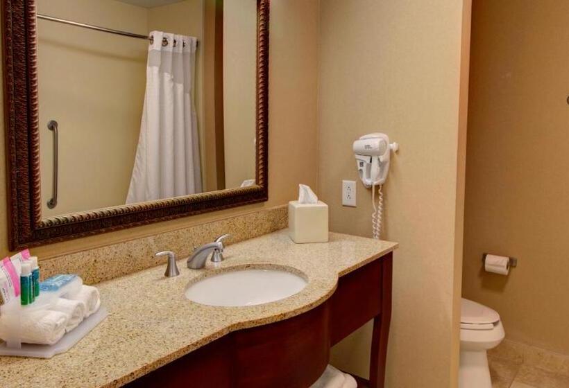 חדר סטנדרט, Holiday Inn Express & Suites Sioux City South, An Ihg