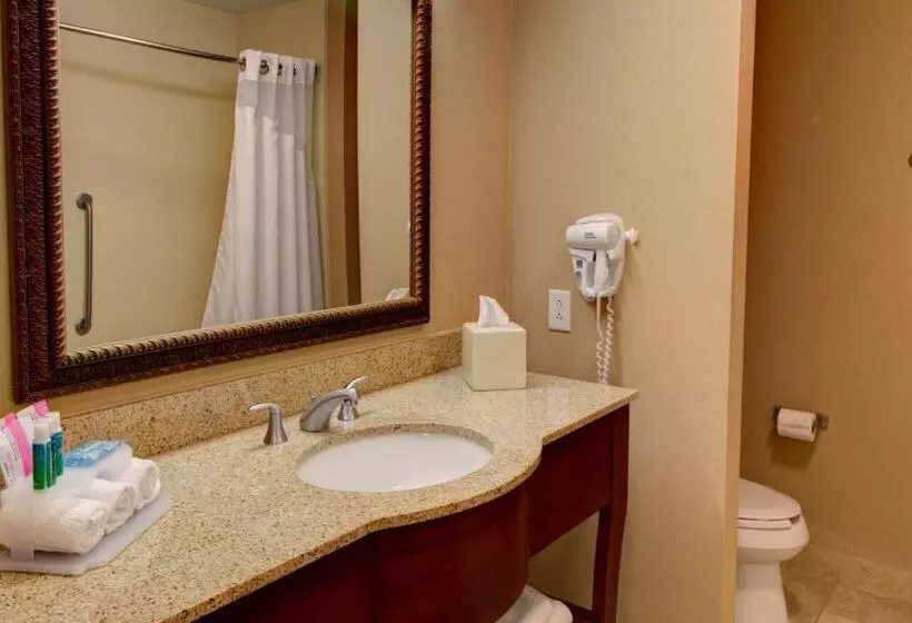 اتاق استاندارد, Holiday Inn Express & Suites Sioux City South, An Ihg