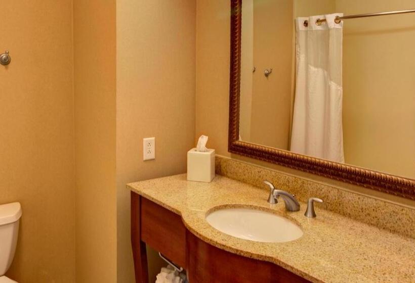 חדר סטנדרט, Holiday Inn Express & Suites Sioux City South, An Ihg