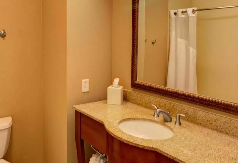 اتاق استاندارد, Holiday Inn Express & Suites Sioux City South, An Ihg