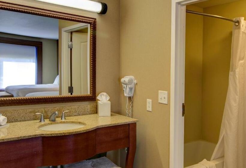 חדר סטנדרט עם מיטת קינג, Holiday Inn Express & Suites Sioux City South, An Ihg