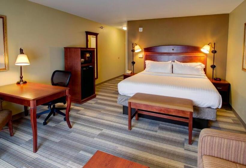 חדר סטנדרט עם מיטת קינג, Holiday Inn Express & Suites Sioux City South, An Ihg