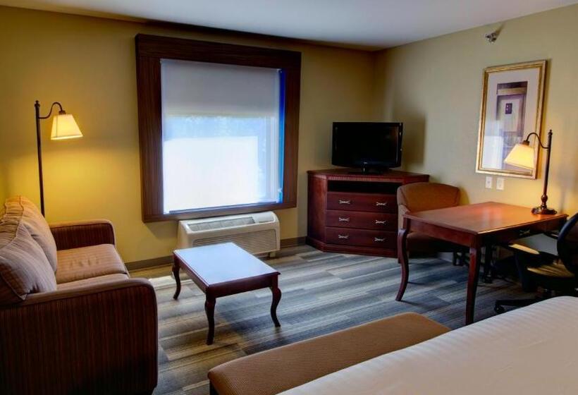 חדר סטנדרט עם מיטת קינג, Holiday Inn Express & Suites Sioux City South, An Ihg